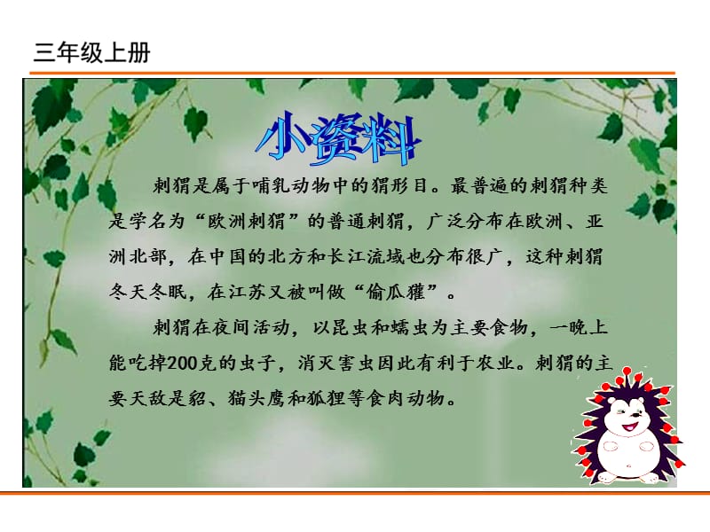 部编新人教版三年级语文上册23.带刺的朋友_第3页