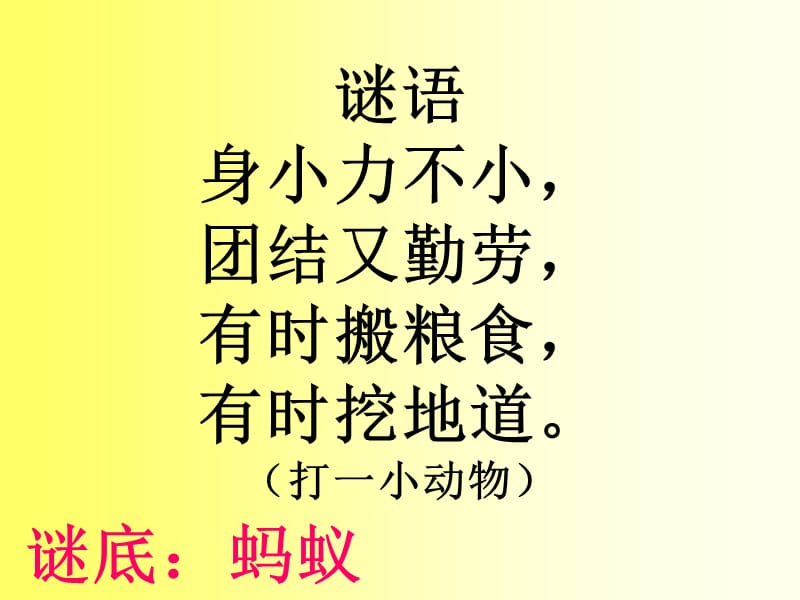 部编人教版新人教版科学二年级上：观察蚂蚁2_第2页