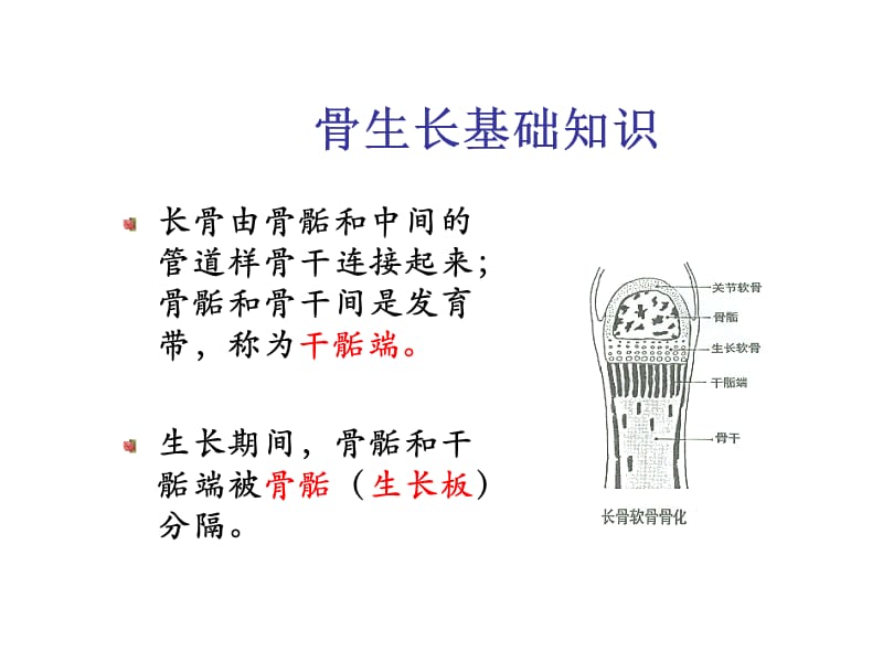 矮小症PPT课件_第3页