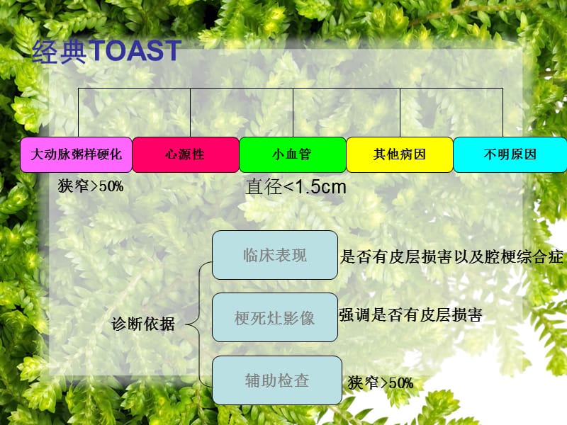 TOAST分型演变与CISS分型ppt课件_第2页