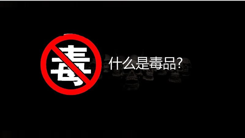 【反毒品日】珍爱生命远离毒品——禁毒宣传PPT模板_第3页