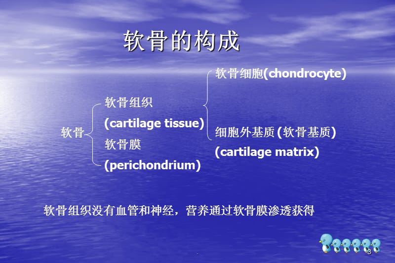 (医学课件)骨和软骨ppt演示课件_第3页