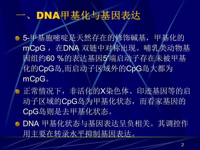 DNA甲基化和肿瘤的关系PPT课件_第2页