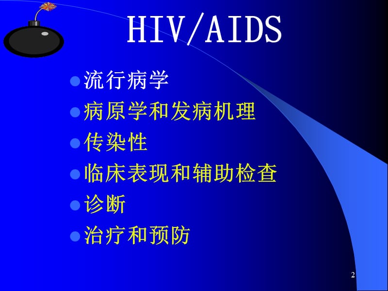 HIV感染和爱滋病PPT课件_第2页