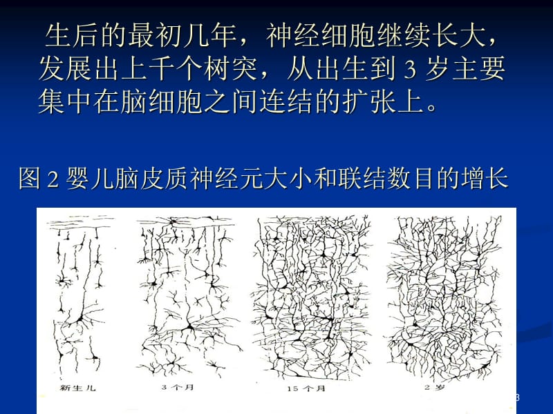 0-3月的早期教育ppt课件_第3页