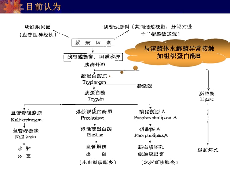 SAP临床处理中值得注意的问题PPT课件_第3页