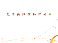 艾滋病業(yè)務(wù)知識培訓(xùn)ppt課件