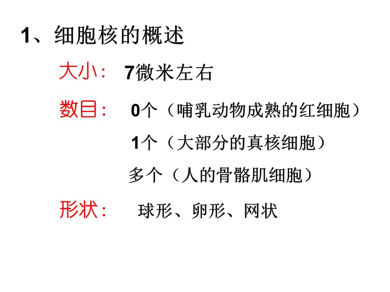 (医学课件)细胞核之系统的控制中心终PPT演示课件_第3页