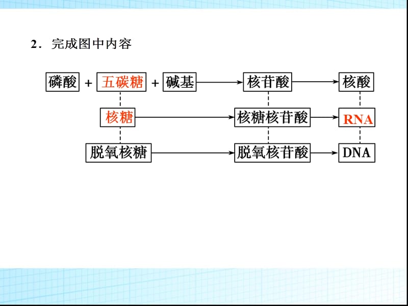 (医学课件)细胞中的糖类和脂质PPT演示课件_第3页