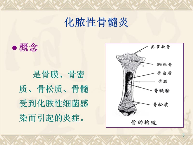 (医学课件)骨与关节感染病人的护理ppt演示课件_第3页