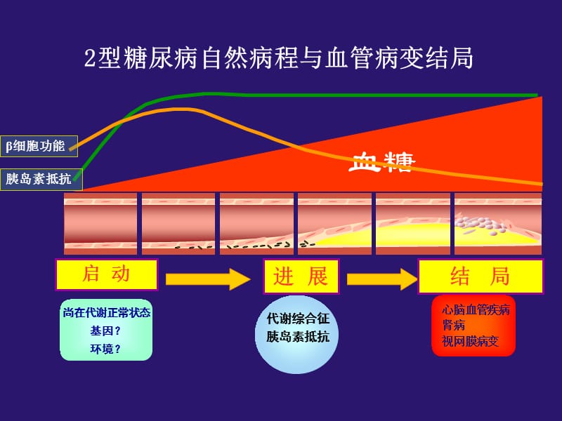 (医学课件)2型糖尿病大血管并发症干预措施PPT演示课件_第2页