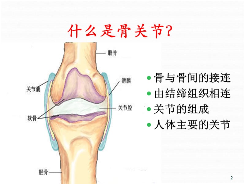 (医学课件)骨性关节炎的预防和疼痛科治疗ppt演示课件_第2页