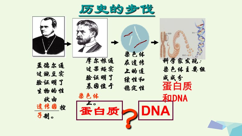 (医学课件)DNA是主要的遗传物质PPT演示课件_第2页