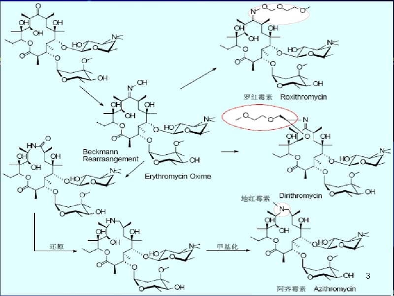 大环内酯类抗生素的合理应用 PPT课件_第3页