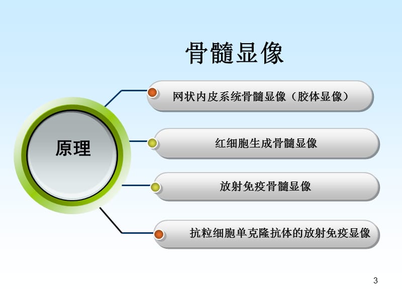 造血与淋巴ppt课件_第3页