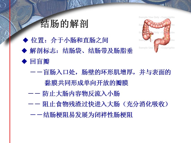 大肠肛管疾病病人护理PPT课件_第2页