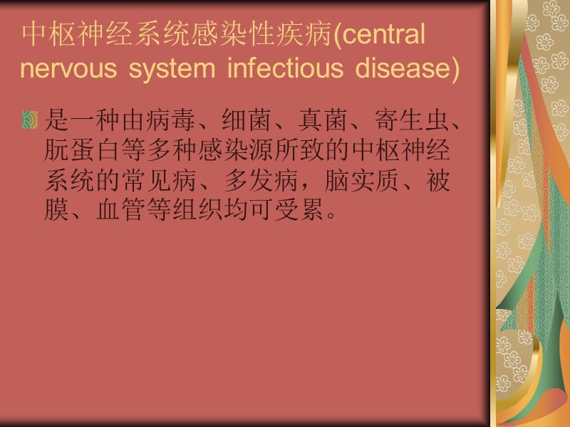 儿科常见中枢神经系统感染性疾病ppt课件_第2页