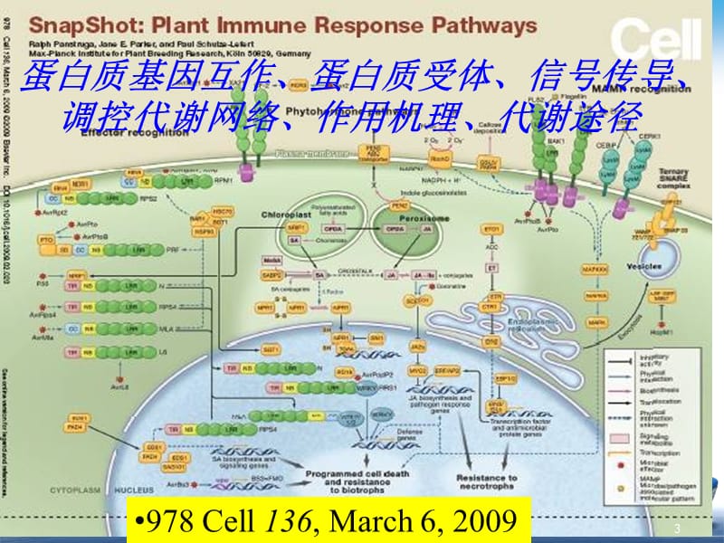 蛋白质组学与分析技术ppt课件_第3页