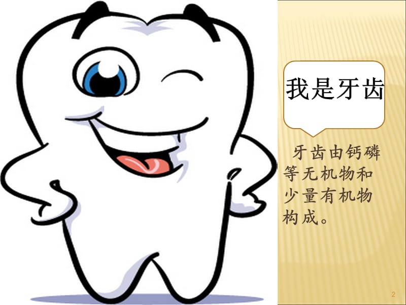 儿童牙齿保健讲课ppt课件_第2页