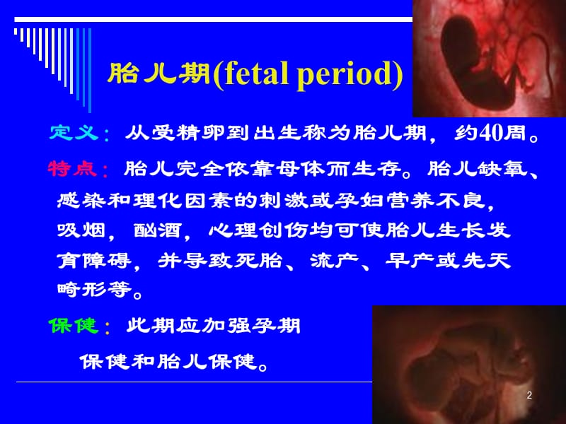 儿童各年龄分期及其特点PPT课件_第2页