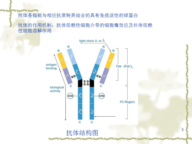 单克隆抗体基础知识PPT课件_第3页