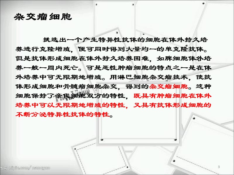 单克隆抗体的应用前景PPT课件_第3页