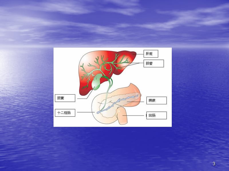 肝内胆管结石ppt课件_第3页