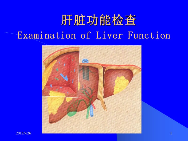 肝脏功能检查PPT课件_第1页