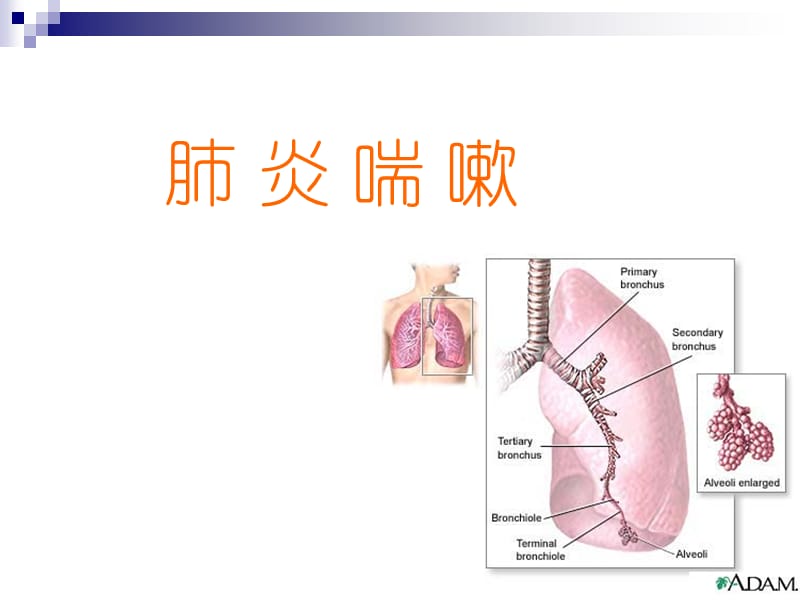 肺炎喘嗽ppt课件_第1页