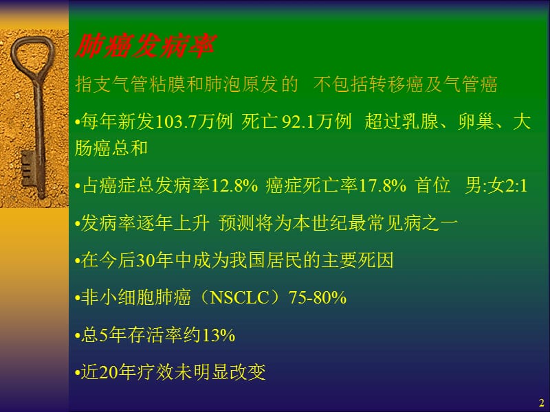 肺癌的放射治疗PPT课件_第2页