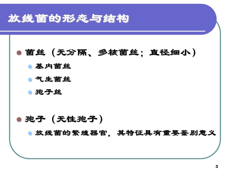 放线菌及真菌PPT课件_第3页