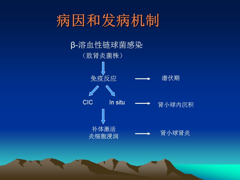 急性肾炎PPT课件_第2页