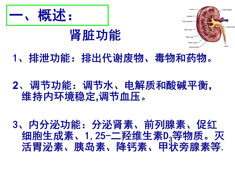 急性肾功能衰竭的病因和分类ppt课件_第3页