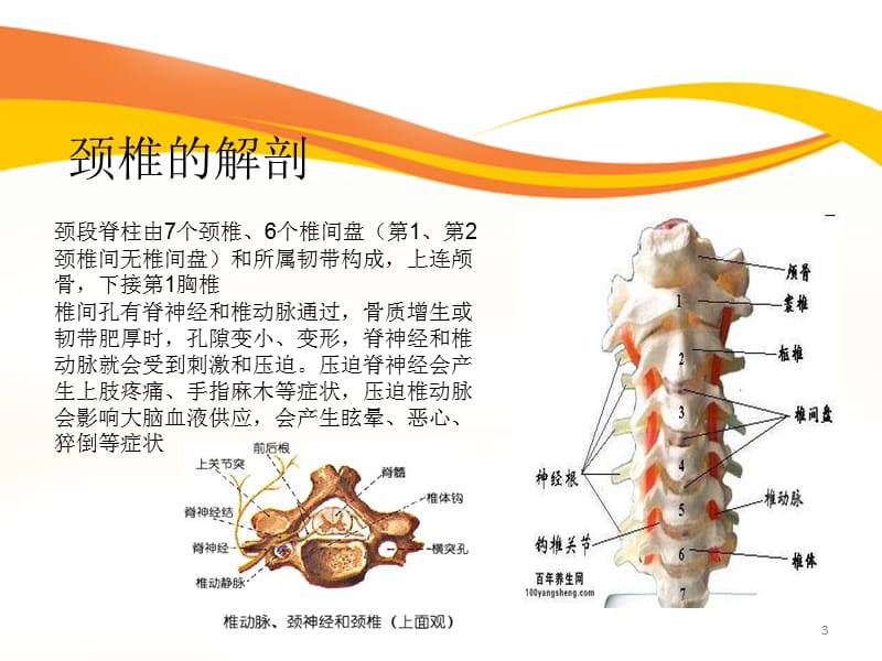 颈椎病的护理PPT课件_第3页