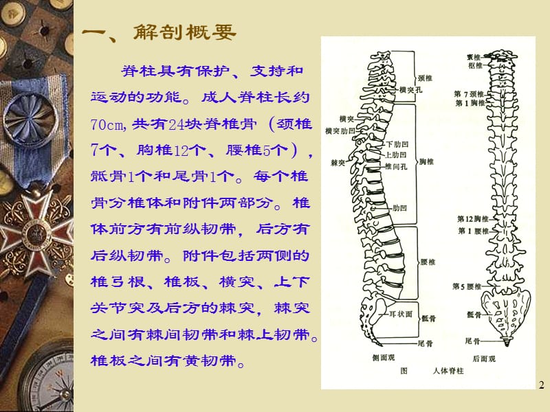 颈椎骨折伴高位截瘫病人的护理PPT课件_第2页