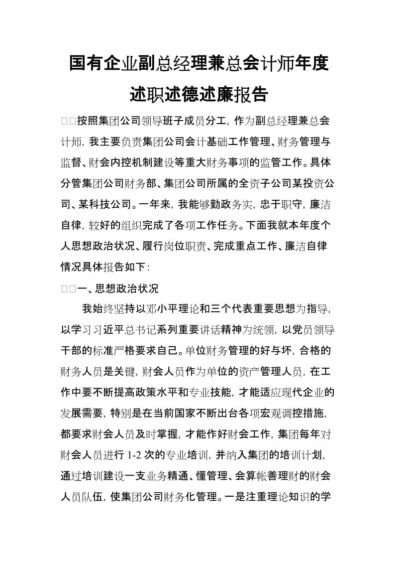 国有企业副总经理兼总会计师年度述职述德述廉报告