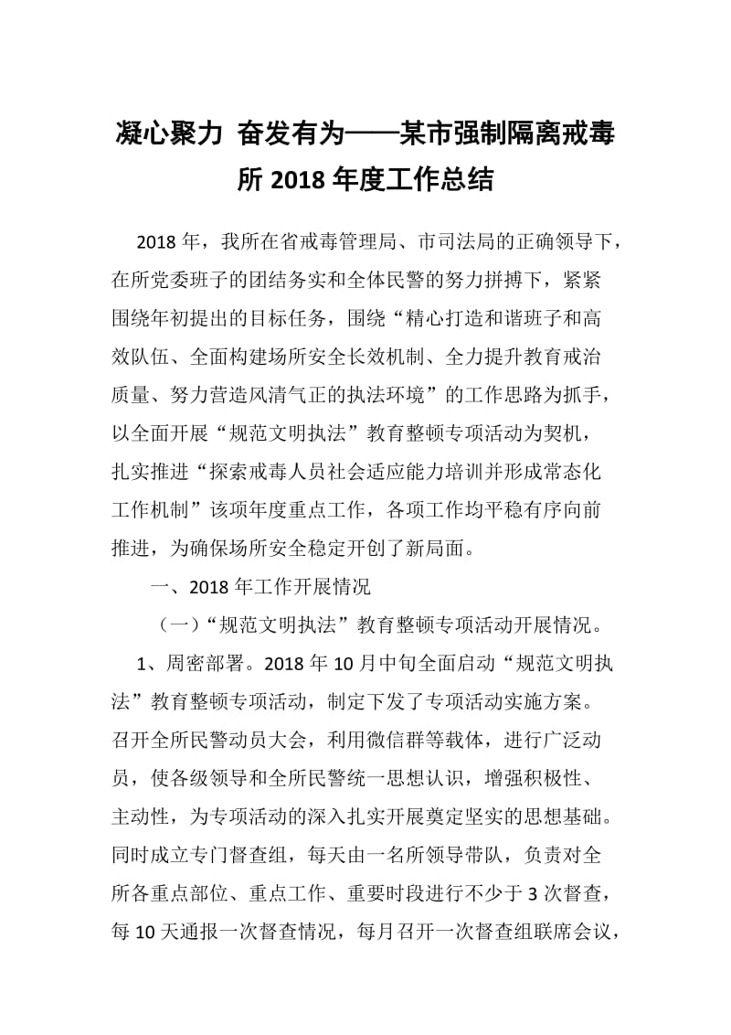 凝心聚力 奋发有为——某市强制隔离戒毒所2018年度工作总结_第1页