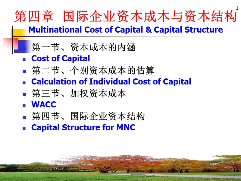 国际企业资本成本与资本结构ppt课件_第1页