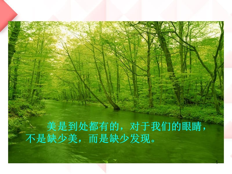 北师大版三年级语文一只小鸟ppt课件_第1页