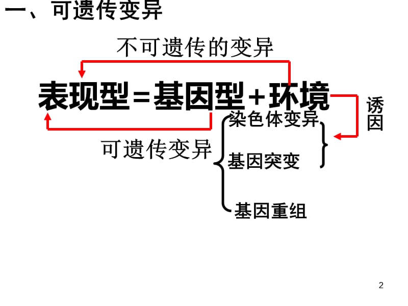 NEW我的基因突变解读ppt课件_第2页