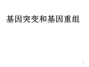 NEW我的基因突變解讀ppt課件