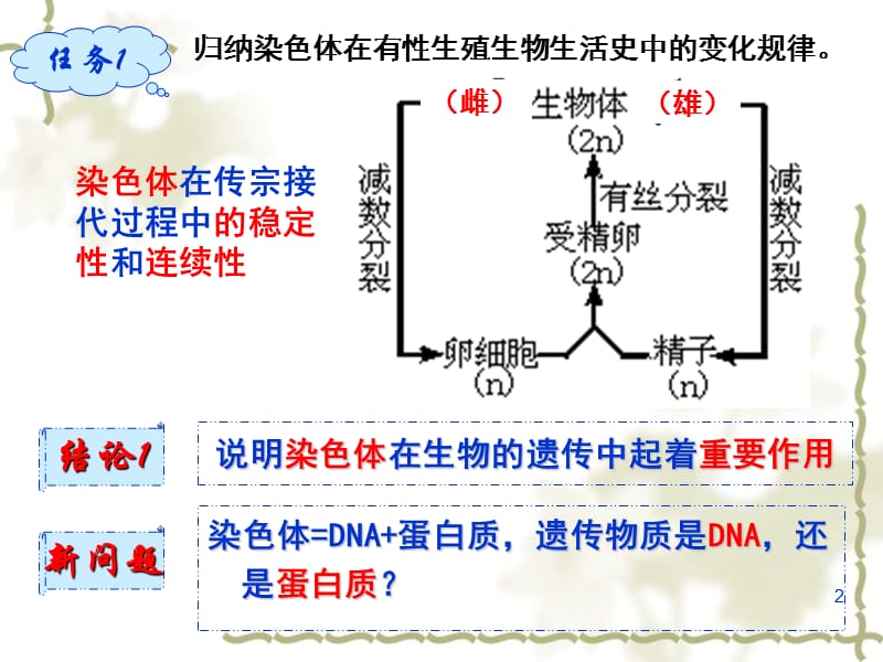 DNA是主要遗传物质ppt课件_第2页