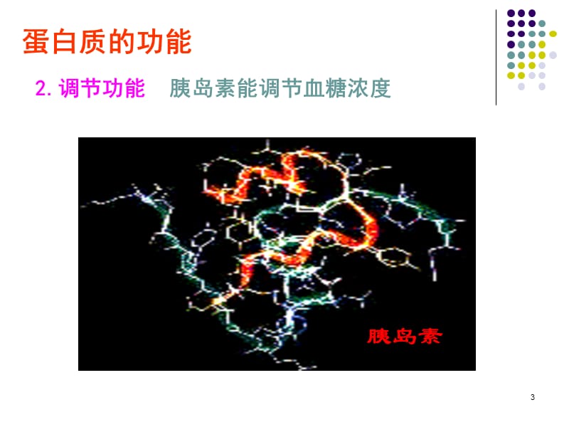 蛋白质的结构上课ppt课件_第3页