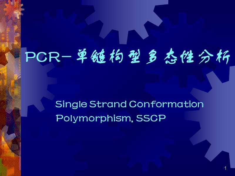 PCR单链构型多态性分析ppt课件_第1页