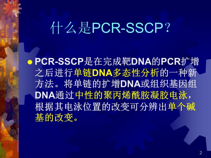 PCR单链构型多态性分析ppt课件_第2页