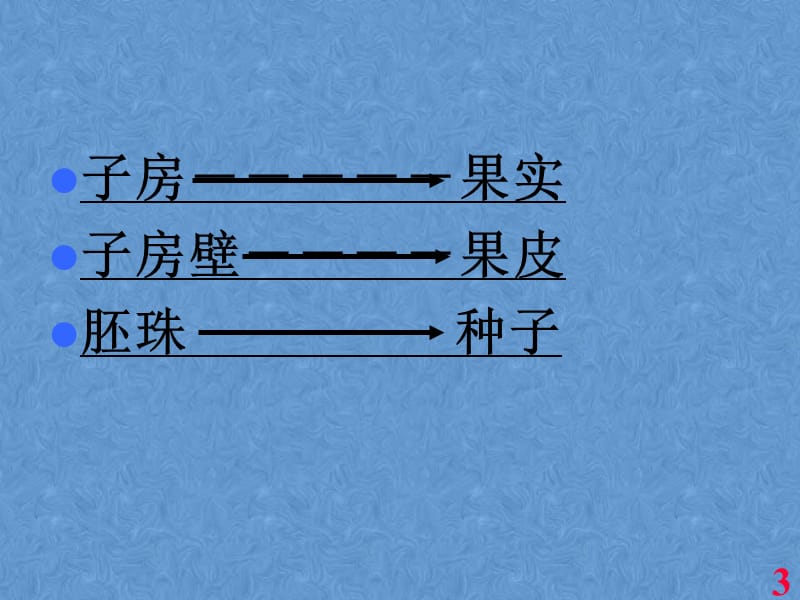 种子植物的繁殖和繁殖器ppt课件_第3页