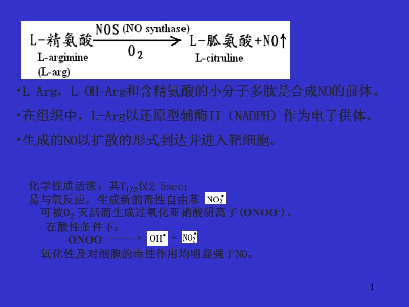 一氧化氮和心血管疾病ppt课件_第1页