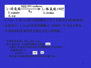 一氧化氮和心血管疾病ppt課件