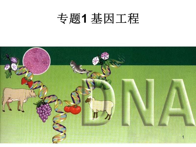 DNA重组技术的基本工具上课用ppt课件_第1页