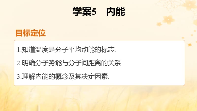 高中物理第七章分子动理论课时5内能新人教版ppt课件_第2页